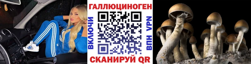 блэк спрут как зайти  Кораблино  Псилоцибиновые грибы ЛСД  купить  